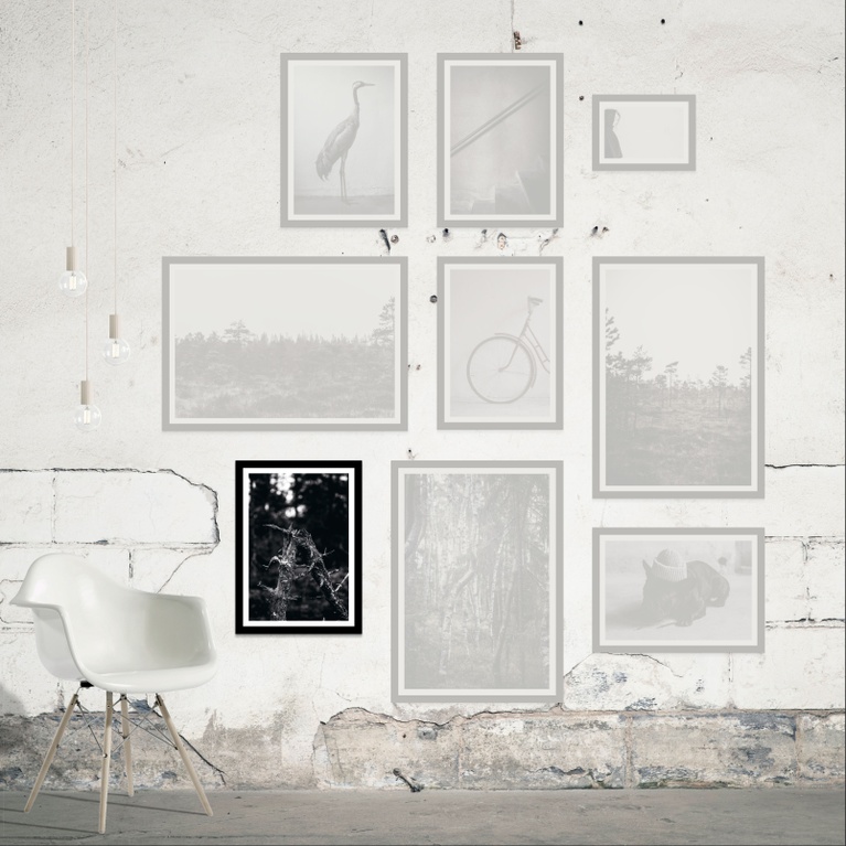 Poster 50x70 "Break Away" Poster 50x70 "Break Away"